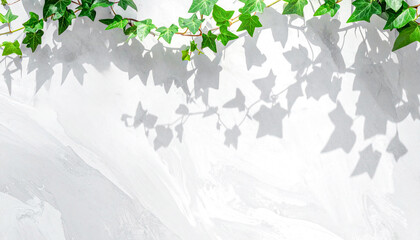 アイビーとおしゃれなコンクリートの背景