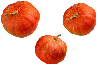 Ripe pumpkins. Transparent.