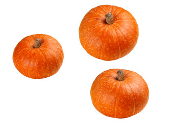 Ripe pumpkins. Transparent.
