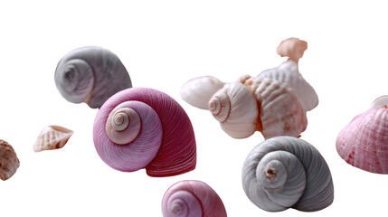 Seashells on display: A collection of various colorful seashell formations, each with unique textures and spiral patterns, beautifully arranged and captured. 