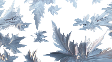 Ice Crystal Formation: A mesmerizing display of delicate ice crystals in a captivating close-up. Revealing intricate natural patterns that emerge through the magic of nature. 
