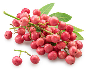 Fresh pink peppercorns on branch with green leaves isolated on white background. File contains clipping paths.