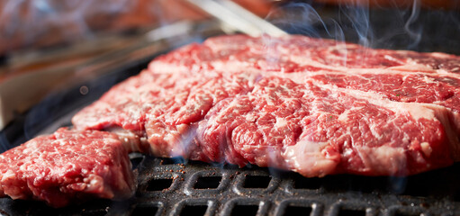 grilled meat on the grill