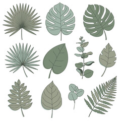 A collection of various green tropical and botanical leaves in a flat illustration style.