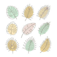 Collection of line art tropical leaves with pastel color accents.