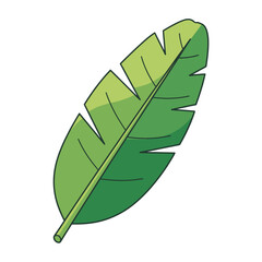 A detailed illustration of a green banana leaf, showing its veins and edges.