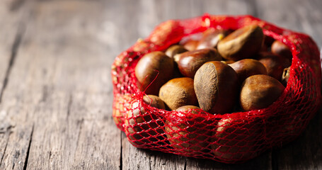 fresh chestnut close-up