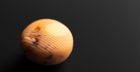 Japanese traditional sweets Nerikiri made from bean paste