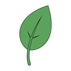 A simple cartoon illustration of a single green leaf with a prominent central vein on a white background.