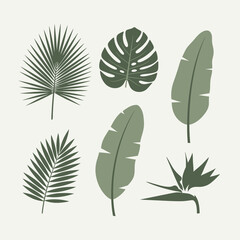 A collection of six different tropical leaves, including monstera and palm, in a flat vector illustration style.
