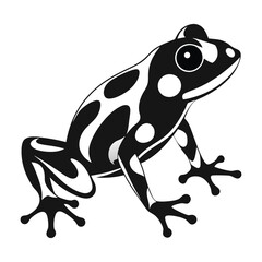 Poison Dart Frog Vector on White Background