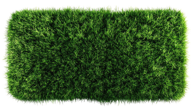 Rectangular patch of vibrant, lush green grass, isolated against a solid black backdrop