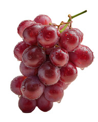 Fototapeta premium Fresh red grapes with morning dew isolated on white background