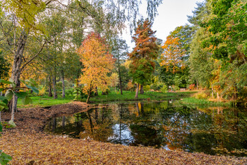 Obraz premium spectacular autumn colours on the trees in Wales UK