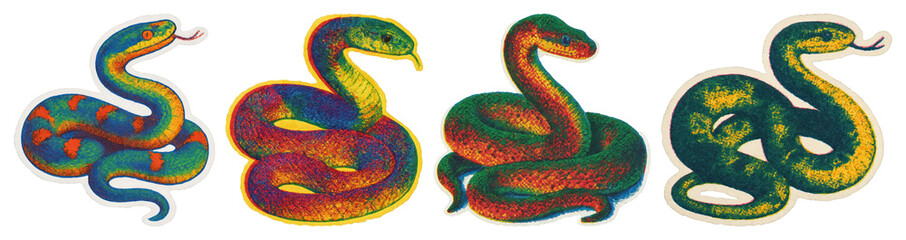 Obraz premium PNG Colorful vintage snake illustration, element set on transparent background