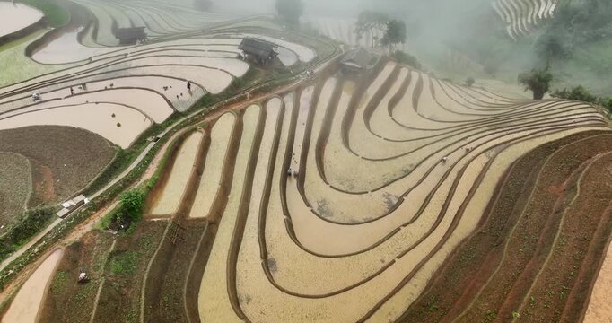 Hmong farmers prepare their fields and plant rice on terraced fields in Mu Cang Chai, Yen Bai. Photo taken in Yen Bai on June 22, 2025.