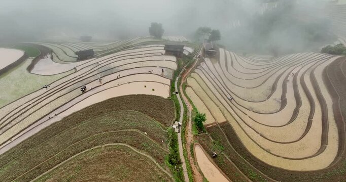 Hmong farmers prepare their fields and plant rice on terraced fields in Mu Cang Chai, Yen Bai. Photo taken in Yen Bai on June 22, 2025.