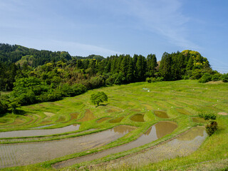 大山千枚田