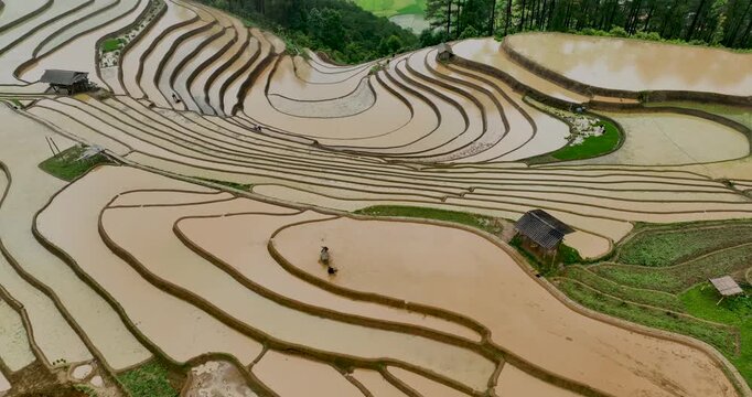 Hmong farmers prepare their fields and plant rice on terraced fields in Mu Cang Chai, Yen Bai. Photo taken in Yen Bai on June 22, 2025.	
