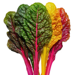 A bunch of spinach leaves are arranged in a pyramid shape
