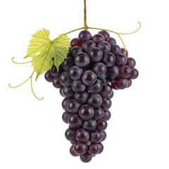 Fototapeta premium A bunch of ripe dark grapes isolated on transparent background, showcasing natures sweet and juicy offering