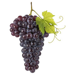 Fototapeta premium A vibrant cluster of dark grapes isolated on transparent background, a testament to the beauty of natural produce