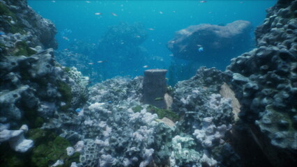 Underwater scene shows a rich coral reef bustling with colorful fish. Ancient stone structures peek through the vibrant marine ecosystem, creating a captivating blend of nature and history.