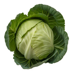 Fototapeta premium cabbage isolated on transparent background