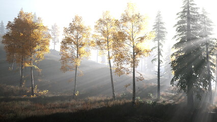 Bright sunlight streams through golden leaves in a tranquil forest at dawn. Shadows dance on the ground, creating a peaceful atmosphere in natures embrace.