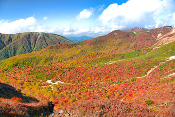 栃木県那須町　秋の紅葉に染まる茶臼岳から見る姥ヶ平