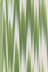 Green Abstract Art: A captivating visual exploration of nature-inspired lines, the image evokes the essence of nature, forming an organic composition. 