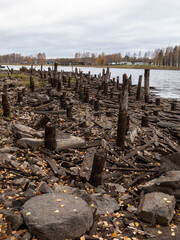 Wooden piles and stones exposed by low river water level during autumn drought