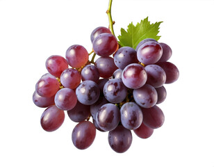 Fototapeta premium a bunch of purple grapes with a twig in the air, transparent background