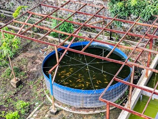 Round Tarpaulin Fish Pond with Metal Frame for Aquaculture
