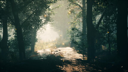 Fototapeta premium A tranquil stream flows gently through a lush forest, with sunlight filtering through the trees. Soft glows illuminate the surroundings, creating a magical atmosphere in the serene landscape.