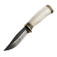 A beautifully crafted fixed-blade knife featuring a light-colored handle with ornate brass-toned details and a dark textured steel blade rests against a solid black background