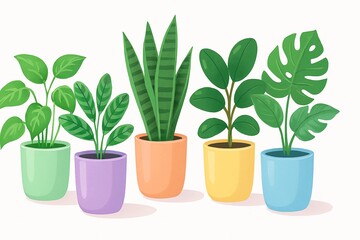 Obraz premium Assorted houseplants in colorful pots on white background