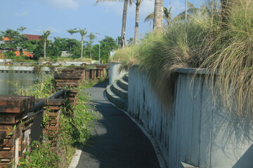 beautiful ornamental grass plants as garden decorations planted in city parks