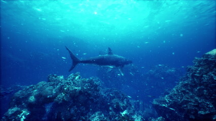 Beneath the waves, a sleek shark swims effortlessly through crystal clear waters, surrounded by colorful coral reefs and tiny fish that dance in the light.