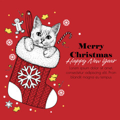 Vector illustration of a kitten in a Christmas gift sock in engraving style. Christmas greeting card. A lovely invitation to celebrate the New Year