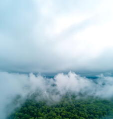 Fototapeta premium Bird's-eye view from a dron flying above the clouds over a dense green forest. Moody weather and atmospheric nature landscape with copy space