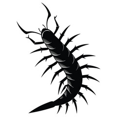 Insect Silhouette Vector on White Background