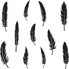 Black feather silhouettes scattered on white background