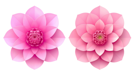 Abstract Pink Flower Illustration, Two Variations, isolated on transparent background
