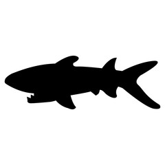 Obraz premium Aggressive Shark Silhouette Icon, Black Marine Animal Predator Vector Graphic for Ocean Danger