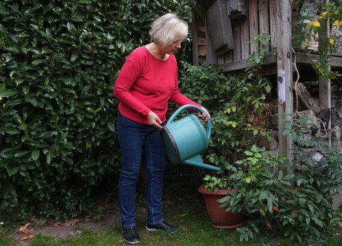 an older woman is using a teal watering can to water a potted plant