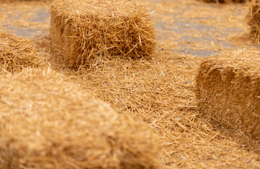 bales of straw