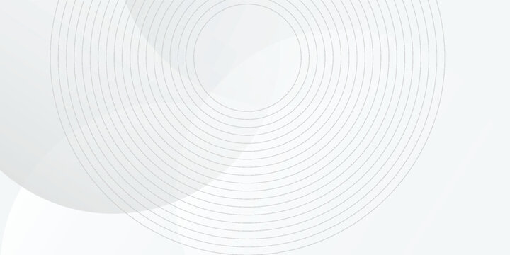 White geometric abstract background overlap layer on bright space with lines effect decoration. Modern graphic design element circles style concept