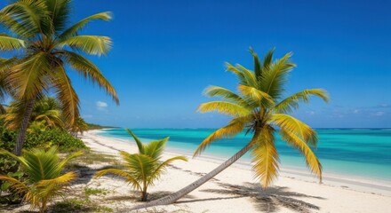 Fototapeta premium Vibrant tropical paradise beach with lush palm trees and crystal clear turquoise ocean waves