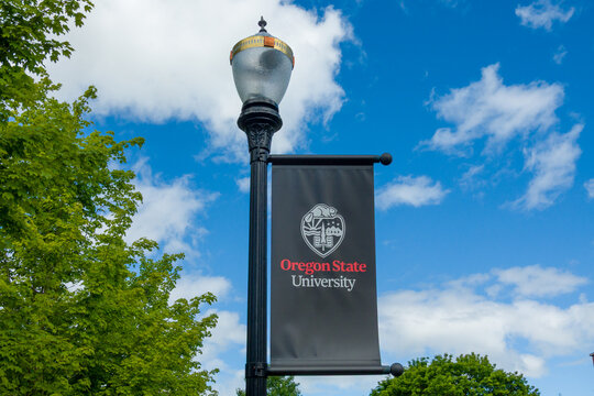 Campus Flag on the Campus of Oregon State University